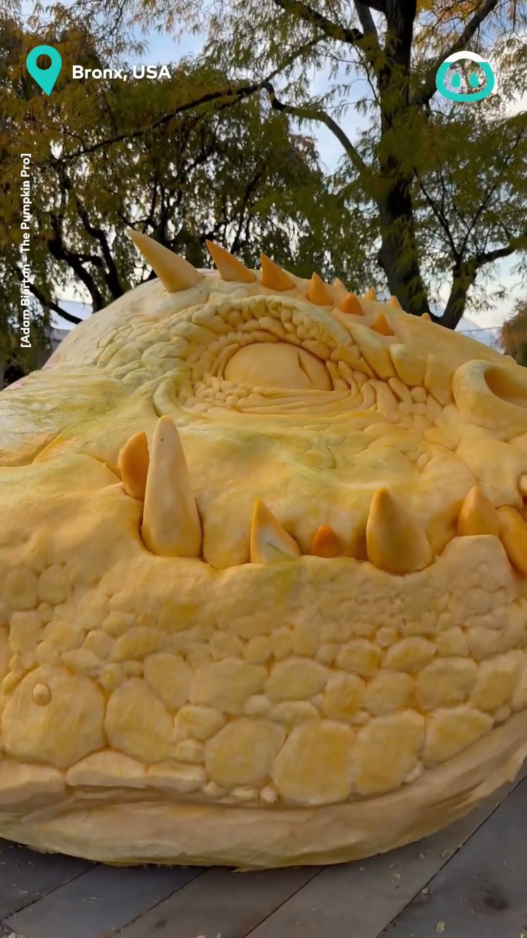 Mega Pumpkin Carving || ViralHog