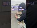 まだ中に誰か入っていますか? #庭づくり #外構 #門柱