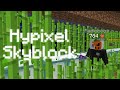 Обычные будни на Hypixel Skyblock