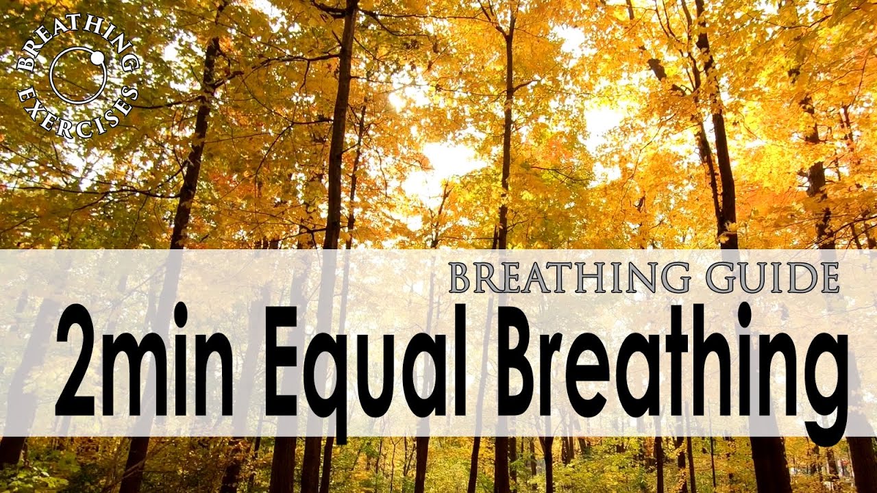 2 min Equal Breathing | Breathing Exercises - YouTube