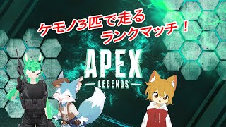 【 APEX LEGENDS 】ケモノ3匹のんびりランク【 コラボ 】