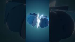 3d Carousel Script for #aftereffects