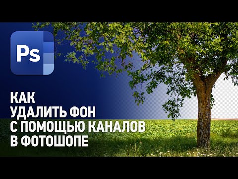 Как удалить фон помощью каналов в Фотошопе? (Как вырезать сложный объект?) Уроки Фотошопа с нуля.