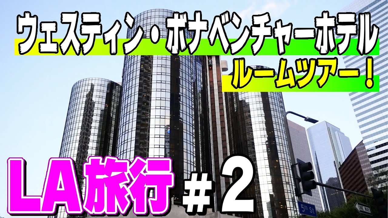 ディズニー カリフォルニア アドベンチャーが最高すぎた 前編 コウスケla旅行 Youtube