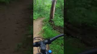 Dammit, it feels good to go mountain biking! #mtb #mountainbiking #mtbfun #emtb #mtbtrail #mtbiking