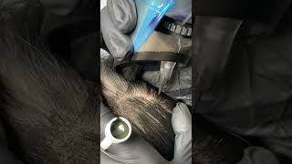 SCATTER Scalp Micropigmentation for Women’s Hair Part | Natural Density Design Tutorial #hair #tatto