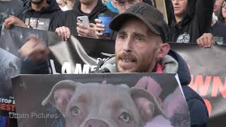 “Save Our Bullies!” Hundreds of XL Bully owners mount protest in London against plan to ban dogs by Urban Pictures UK 19,788 views 8 months ago 1 minute, 18 seconds