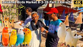Lalukhet Birds Market 8-3-26 Part 2 Karachi | Price of Birds and Parrots drops in Ramadan