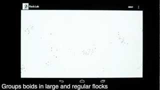 Flock Lab - Weights