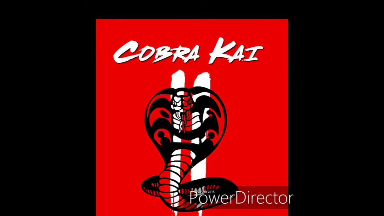 Cobra Guy - Cobra kai season 2 | soundtrack |