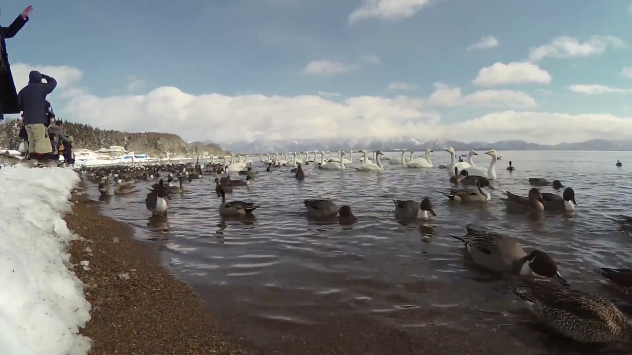 Tohoku - Japan's Secret Treasureland