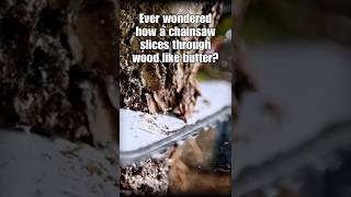 How Do Chainsaws Work?