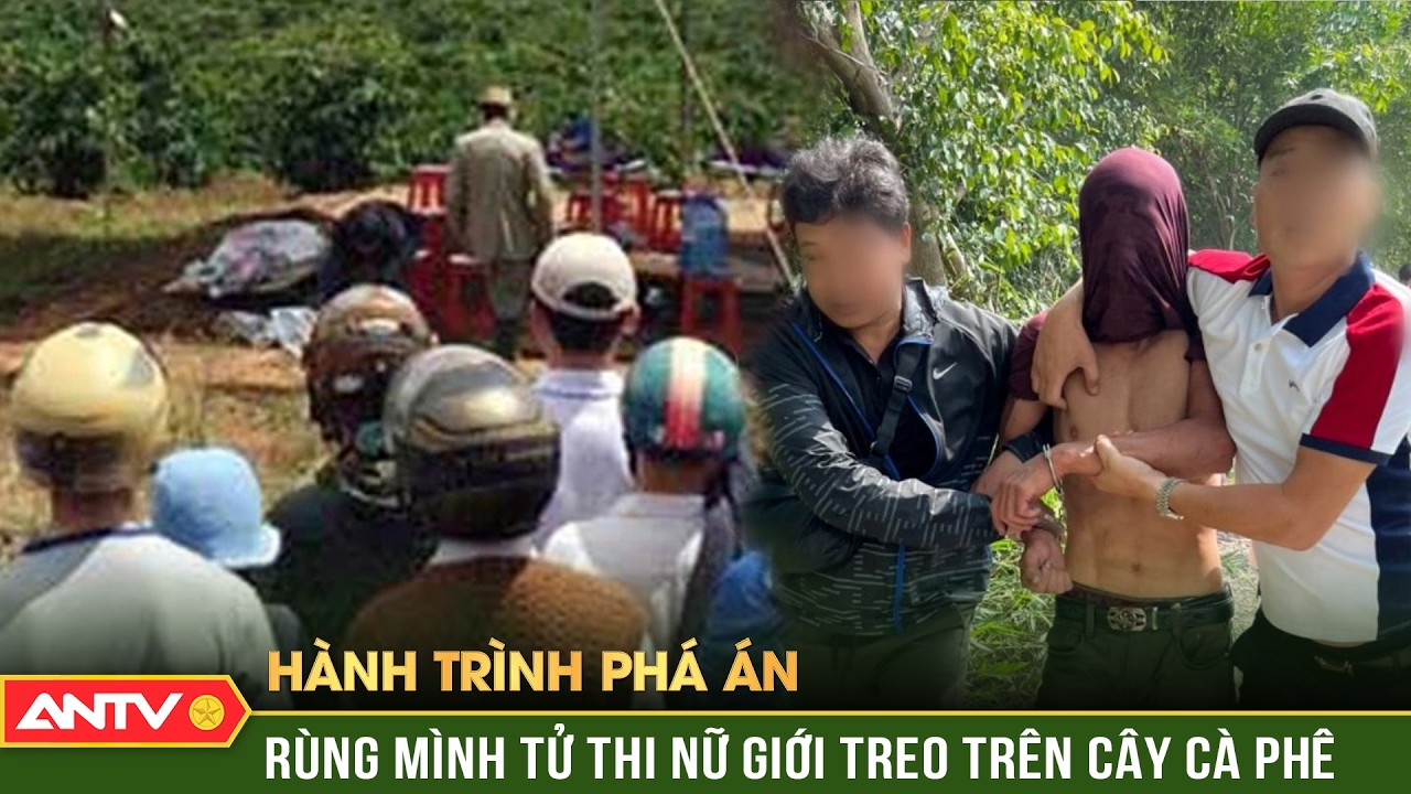 Hành trình phá án: Học trò ‘mặt người, dạ thú’ sát hại cô gái rồi treo tử thi trên cây cà phê | ANTV