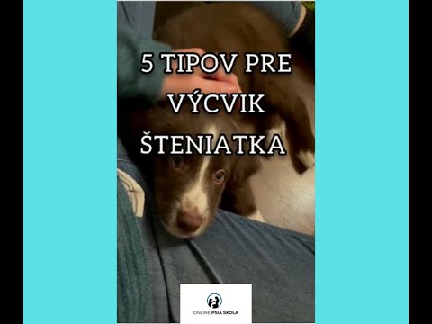 Video: Ako sa starať o kožušinu yorkshirského teriéra (s obrázkami)