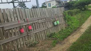 종량제 쓰레기 봉투값과 살충제 30만원 모금 부탁 드립니다🍉종량제 봉투와 살충제값 왜 30만원이 필요한가요?