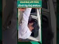 జోగి రమేష్ పారిపోతుంటే - వేటాడి పట్టుకున్న పోలీసులు | Mega Box Office