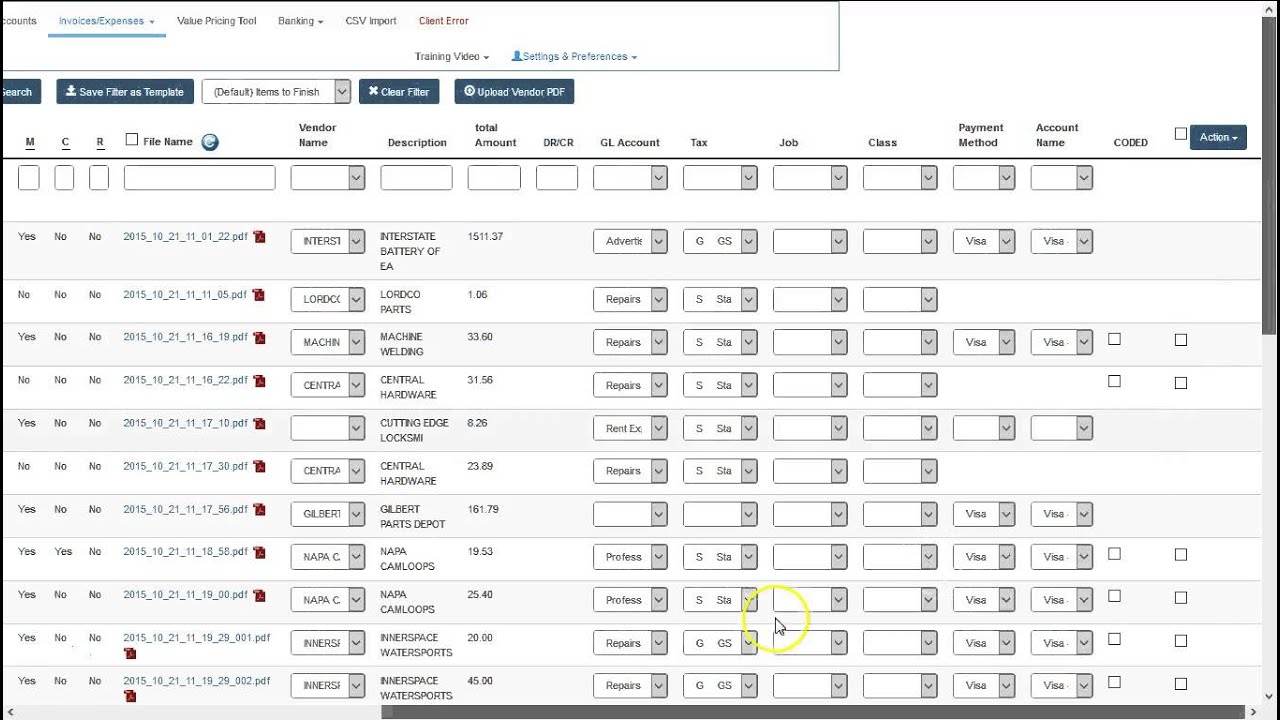 Coding Transactions in Summary View or Detail View Including Payment ...