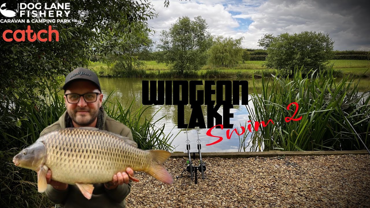 Carp Fishing Summer Session || Dog Lane Fishery, Widgeon Lake || Martyns Angling Adventures