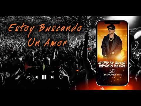 Nestor En Bloque - Estoy Buscando un Amor - Estadio Obras: 20 Años de Solista (Vivo)