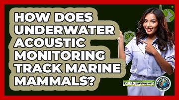 How Does Underwater Acoustic Monitoring Track Marine Mammals? - Earth Science Answers