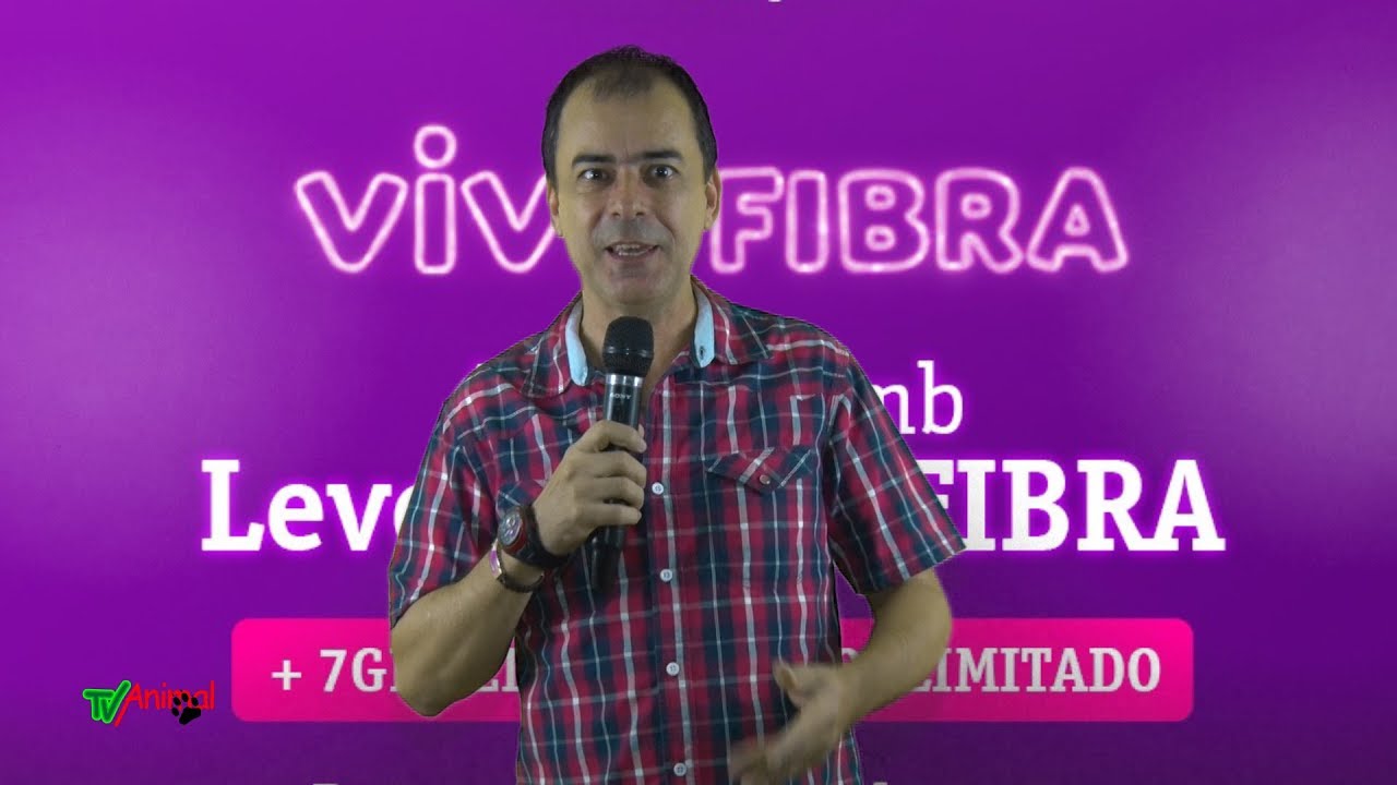 tv animal vivo fibra - YouTube