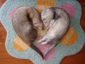 Love's Theme - Barry White