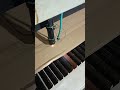 Lazer kesim makinesi hiç bu hızlı değildi #teknoloji #diy #satisfying