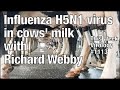 Twiv 1113 influenza virus h5n1 in cows milk with richard webby