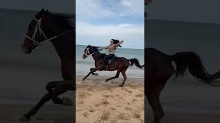 Horse Ride Passion - Pferd Reit Leidenschaft 