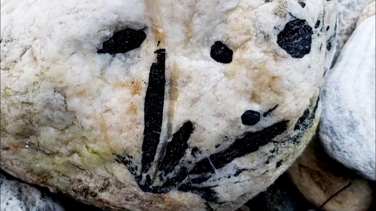 Rock and tourmaline | white stone and black tourmaline