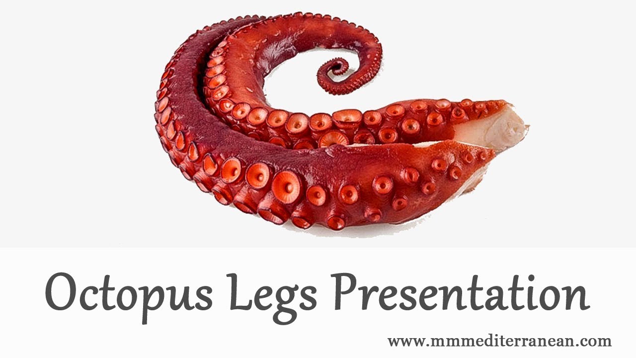 Octopus - 18 legs - product presentation