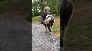 Reviewing the new JC Martin lightweight composite tree trail saddle part 3