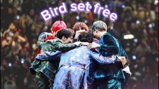 Bts Ot7Fmv Bird Set Free