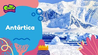 Antártica - Bichitos