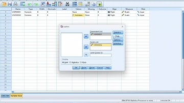 Video tutorial memakai IBM SPSS uji independent sample t test