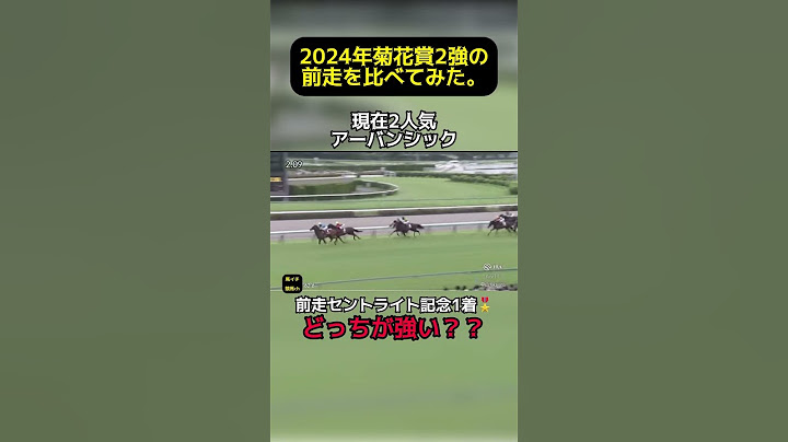 【2024年 菊花賞 2強の前走を比べてみた】どっちが強い？ #菊花賞 #競馬 アーバンシック #ダノンデサイル