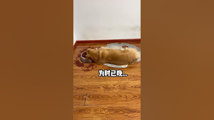 对不起 我以为以后没得狗喂了....#萌宠 #pets #宠物生活 #funny