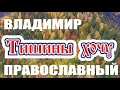 Тишины хочу - Владимир Православный и группа Антиреспект