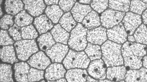 Xray tomography of columnar joints in cornstarch.