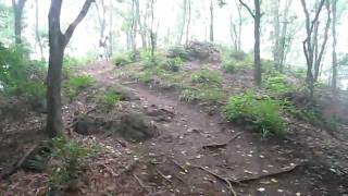 20100731문형산마법의숲4