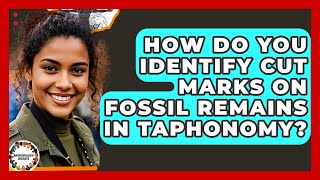 How Do You Identify Cut Marks On Fossil Remains In Taphonomy? - Anthropology Insights