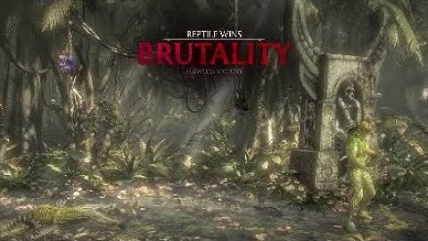 Nimble Reptile setup montage