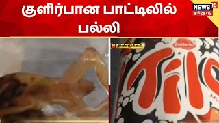 Dindigul | குளிர்பான பாட்டிலில் பல்லி இறந்து கிடந்ததால் அதிர்ச்சி - சிறுவன் மருத்துவமனையில் அனுமதி screenshot 4