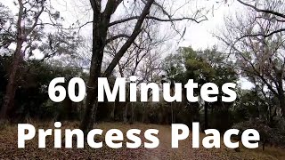 60 Minutes Trails Near Princess Place Preserve Virtual Scenery for Treadmill