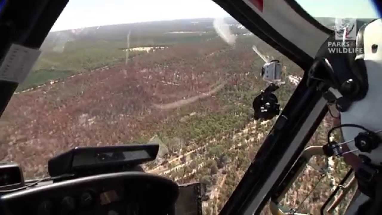 parks and rec characters 11. Ground and aerial burning