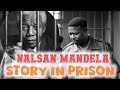 Nalsan Mandela Full Story | South Africa | #Nalsan #NalsanMandelaStory #SadStory #greatleader 