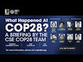 What happened at cop28