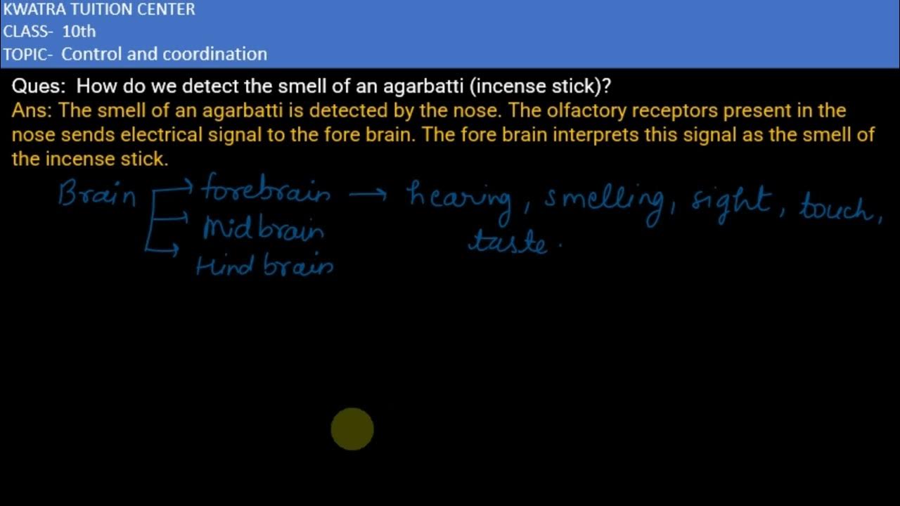 Q4. How do we detect the smell of an agarbatti (incense stick)? YouTube