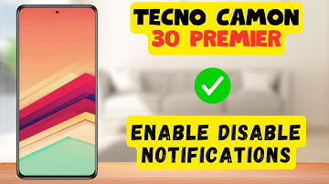 Camon 30 Premier Enable Disable Notifications