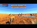 Wild Dingo Dog Survival Simulator 3D